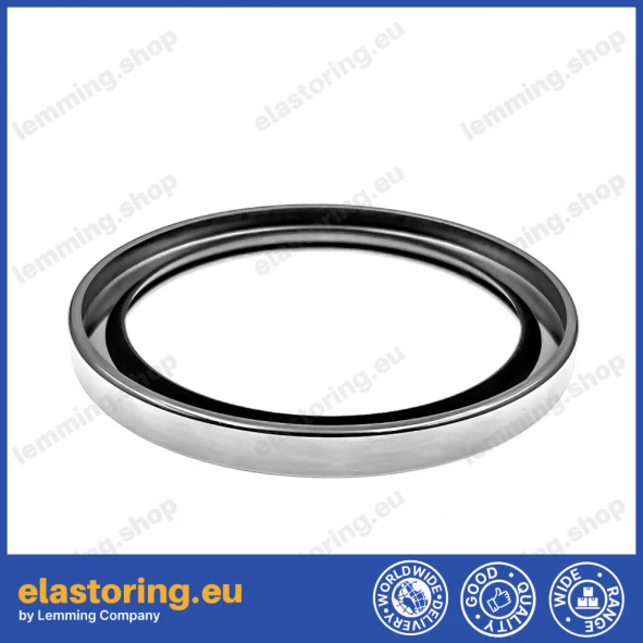 Oil seal CSLCCW 25x38x7 PTFE