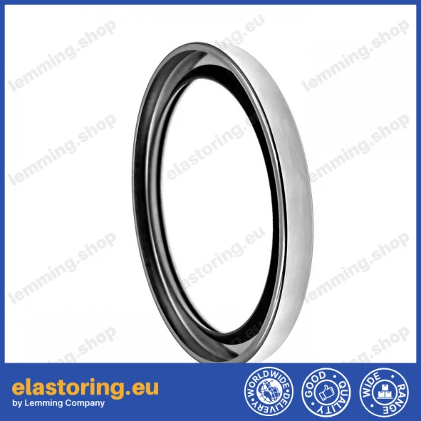 Oil seal CSLCCW 25x38x7 PTFE
