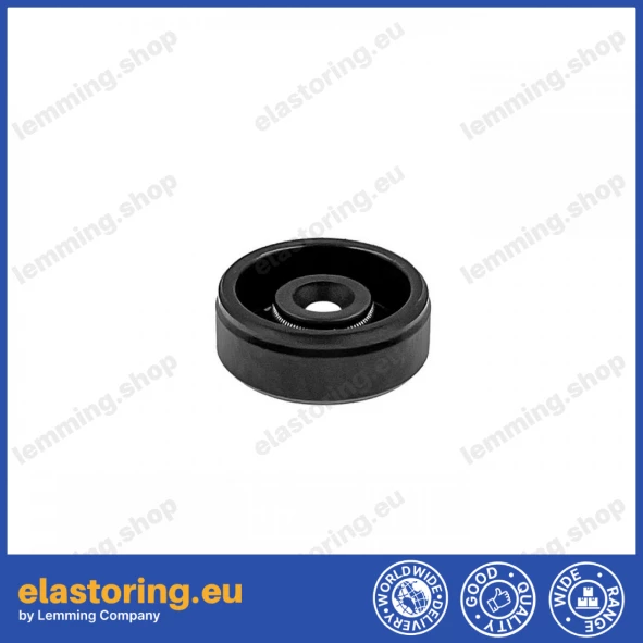 Oil seal WDR-A 4x16x6 NBR