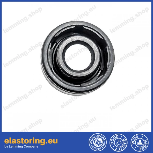 Oil seal WDR-A 8x19x6 NBR Oil seal WDR-A 8x19x6 NBR