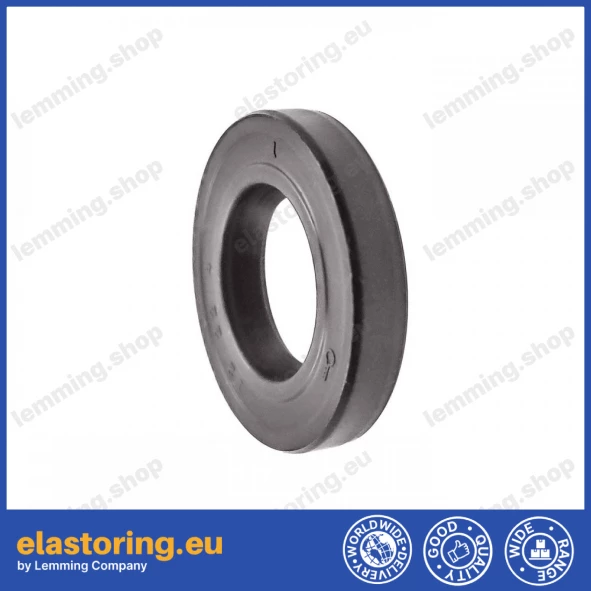 Oil seal WDR-F10 12x22x4 FPM