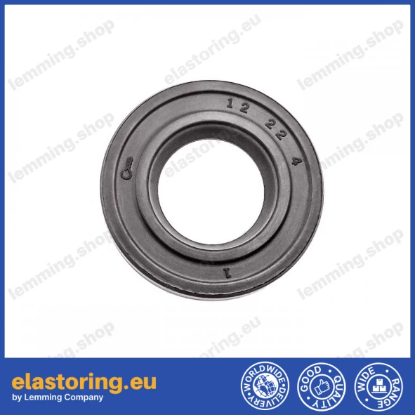 Oil seal WDR-F10 12x22x4 FPM