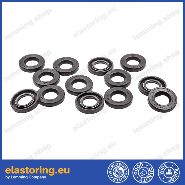 Oil seal WDR-F10 12x22x4 FPM