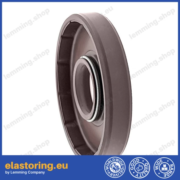 Oil seal WDR-F10 15x42x7 FPM Oil seal WDR-F10 15x42x7 FPM