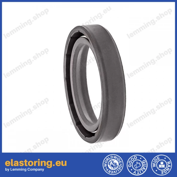 Oil seal WDR-F10 26x36x7 FPM Oil seal WDR-F10 26x36x7 FPM
