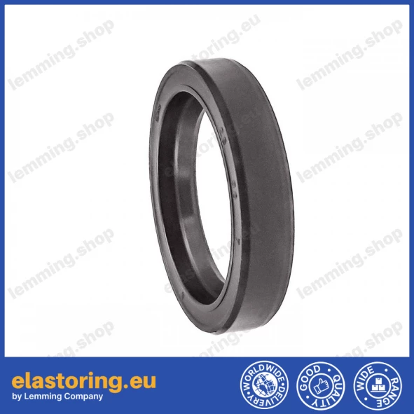 Oil seal WDR-F10 26x36x7 FPM Oil seal WDR-F10 26x36x7 FPM