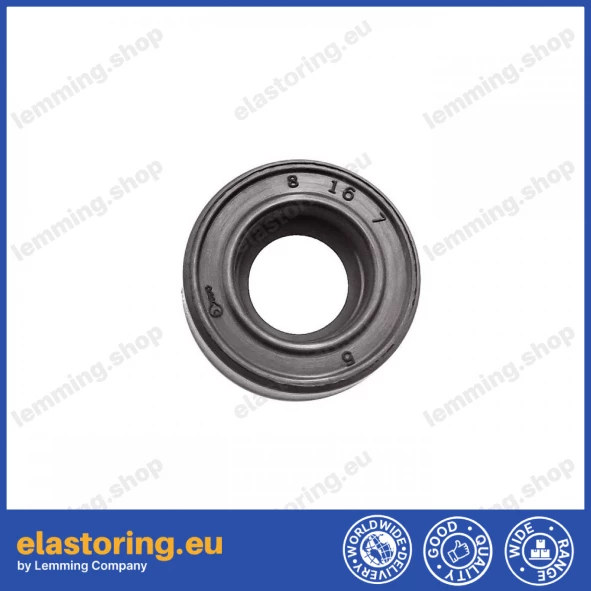 Oil seal WDR-F10 8x16x7 FPM Oil seal WDR-F10 8x16x7 FPM