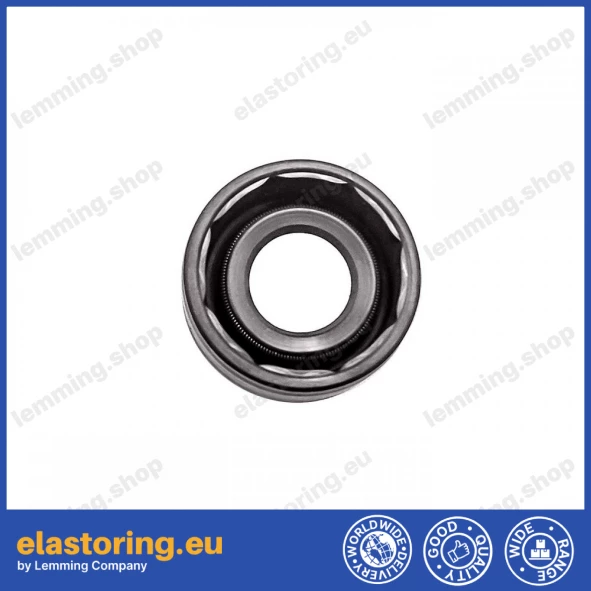 Oil seal WDR-F10 8x16x7 FPM Oil seal WDR-F10 8x16x7 FPM