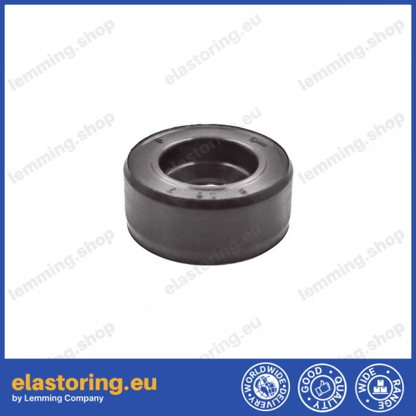 Oil seal WDR-F10 8x16x7 FPM Oil seal WDR-F10 8x16x7 FPM