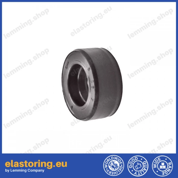 Oil seal WDR-F10 8x16x7 FPM Oil seal WDR-F10 8x16x7 FPM