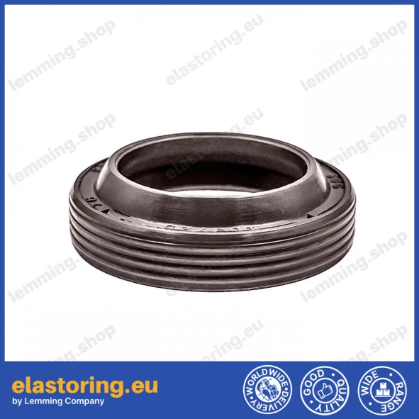 Wiper DKC 18x25x5/7 FPM+Stal Wiper DKC 18x25x5/7 FPM+Stal