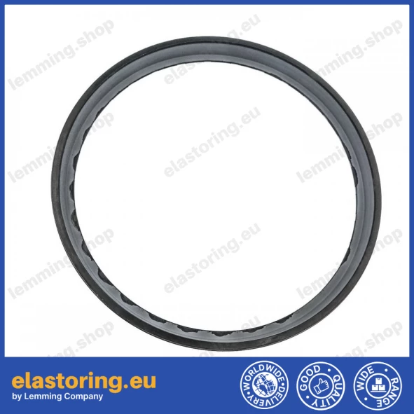 Face seal Goetze 76.91-41 NB60 form B Face seal Goetze 76.91-41 NB60 form B