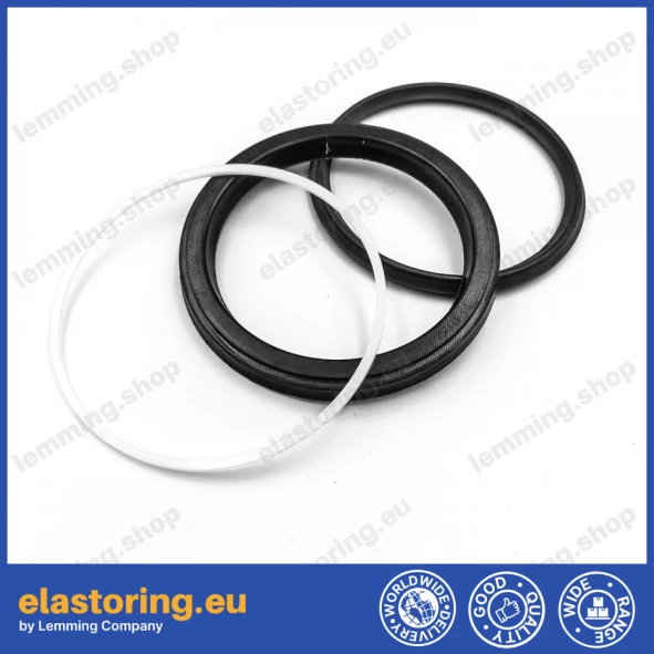 Piston seal 10DS 110x90x13,5 POLYPAC DS433354-NEO Piston seal 10DS 110x90x13,5 POLYPAC DS433354-NEO