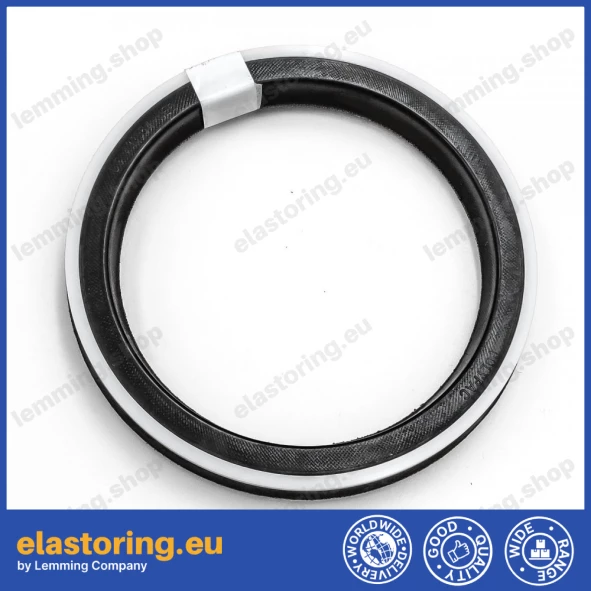 Piston seal 10DS 110x90x13,5 POLYPAC DS433354-NEO Piston seal 10DS 110x90x13,5 POLYPAC DS433354-NEO