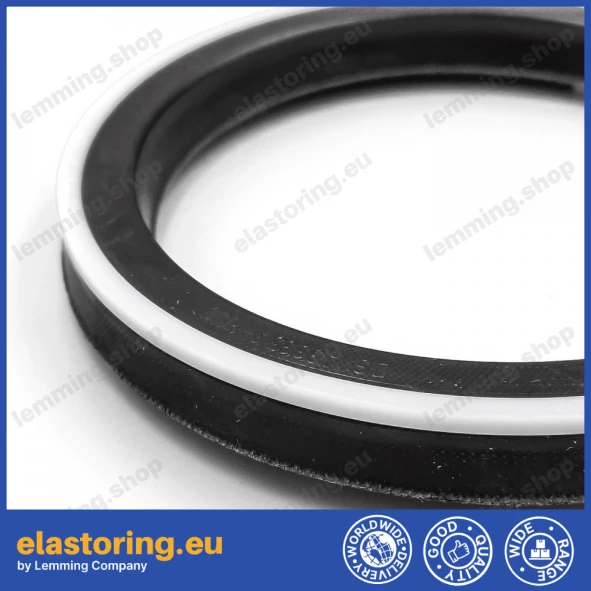 Piston seal 10DS 110x90x13,5 POLYPAC DS433354-NEO Piston seal 10DS 110x90x13,5 POLYPAC DS433354-NEO