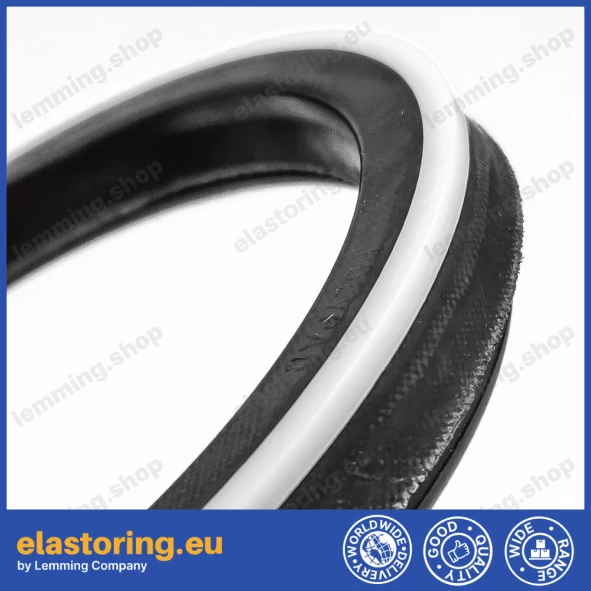 Piston seal 10DS 110x90x13,5 POLYPAC DS433354-NEO Piston seal 10DS 110x90x13,5 POLYPAC DS433354-NEO