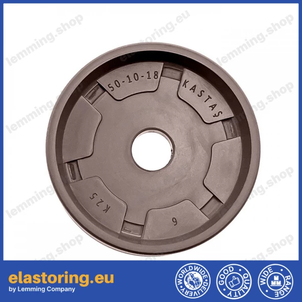 Pneumatic seal K25-50x10x18 FPM