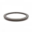 Pressure oil seal 100x120x8 BABSL10FX2 FPM