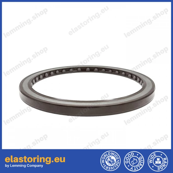 Pressure oil seal 100x120x8 BABSL10FX2 FPM