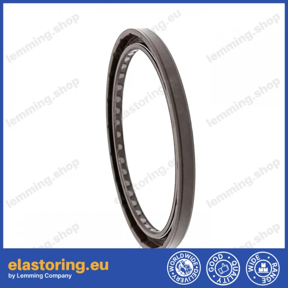 Pressure oil seal 100x120x8 BABSL10FX2 FPM