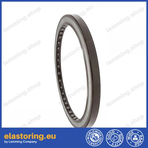 Pressure oil seal 100x120x8 BABSL10FX2 FPM