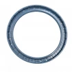 Pressure oil seal 130x160x12/13 BABSL NBR Pressure oil seal 130x160x12/13 BABSL NBR