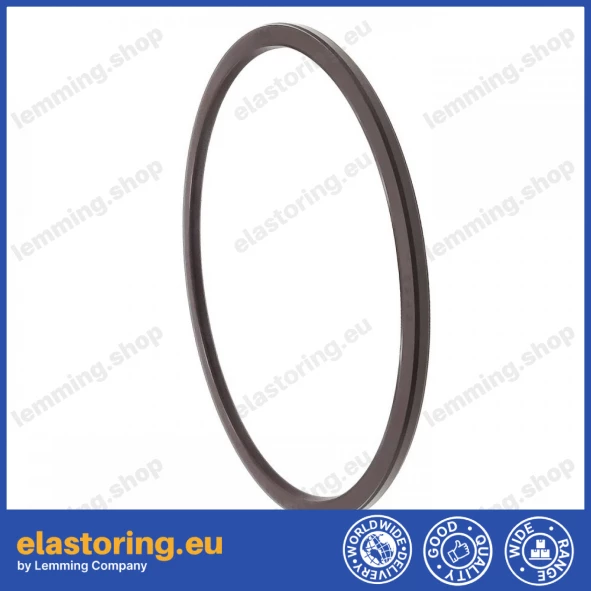 Pressure oil seal 150x164x5/5,5 BABSL FPM