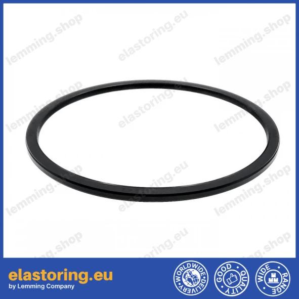 Pressure oil seal 150x164x5/5,5 BABSL NBR