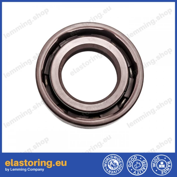 Pressure oil seal 17x30x6/6,5 BABSL FPM Pressure oil seal 17x30x6/6,5 BABSL FPM