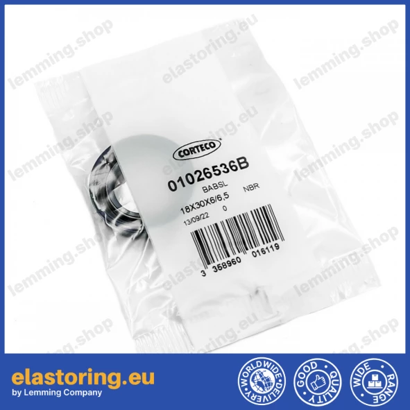 Pressure oil seal 18x30x6 BABSL0,5 NBR Pressure oil seal 18x30x6 BABSL0,5 NBR