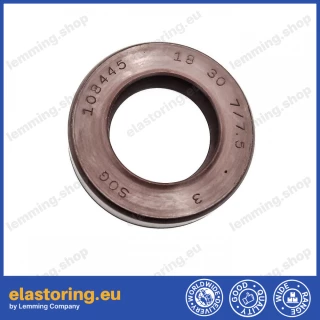 Pressure oil seal 18x30x7/7,5 BABSL FPM