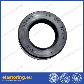 Pressure oil seal 18x30x7/7,5 BABSL NBR
