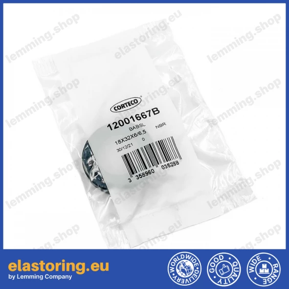 Pressure oil seal 18x32x6/6,5 BABSL NBR