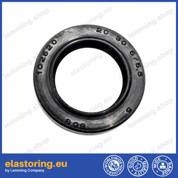 Pressure oil seal 20x30x6/6,5 BABSL NBR