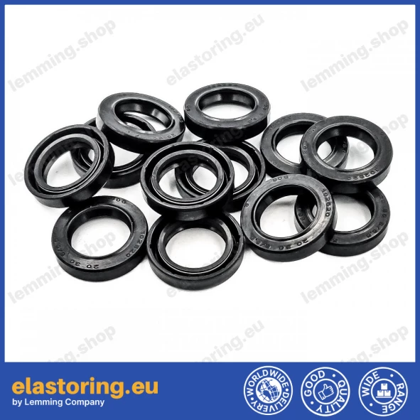 Pressure oil seal 20x30x6/6,5 BABSL NBR