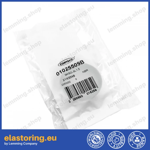 Pressure oil seal 21x33x8/5,5 BAB2FLSL NBR