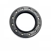 Pressure oil seal 21x33x8/5,5 BAB2FLSL NBR