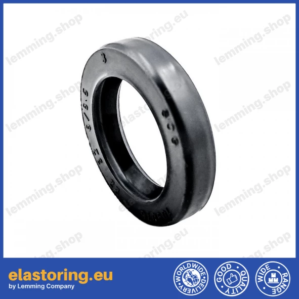 Pressure oil seal 22x32x6/6,5 BABSL NBR Pressure oil seal 22x32x6/6,5 BABSL NBR