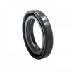 Pressure oil seal 25,4x38,1x6,35/7,95 BABSL NBR