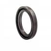 Pressure oil seal 25x35x6/5,5 BABDRWX7 FPM Pressure oil seal 25x35x6/5,5 BABDRWX7 FPM