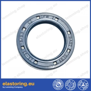 Pressure oil seal 25x37x6/6,5 BABSL NBR