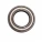 Pressure oil seal 25x42x6/6,5 BABSLVI FPM