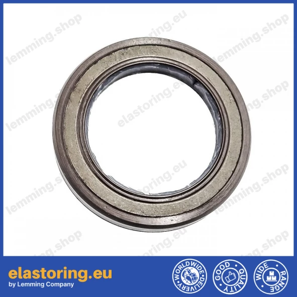 Pressure oil seal 28x40x6 BAB2SL05 FPM Pressure oil seal 28x40x6 BAB2SL05 FPM
