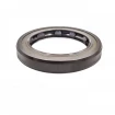 Pressure oil seal 30x42x6 BABSL10FX2 FPM