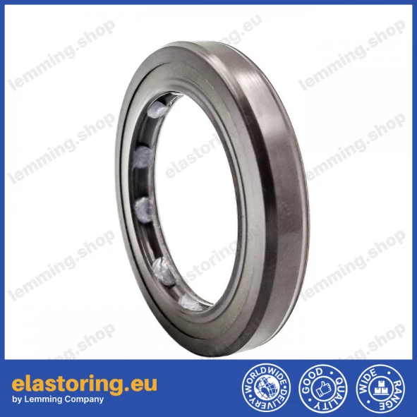 Pressure oil seal 30x42x6 BABSL10FX2 FPM