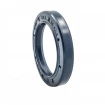 Pressure oil seal 30x42x6/6,5 BABSL NBR