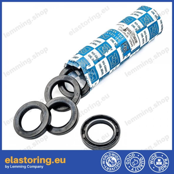 Pressure oil seal 40x60x10/11 BABSL NBR Pressure oil seal 40x60x10/11 BABSL NBR