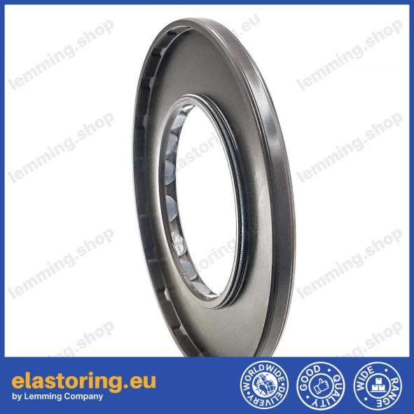 Pressure Oil Seal 60x110x7 PPS FPM