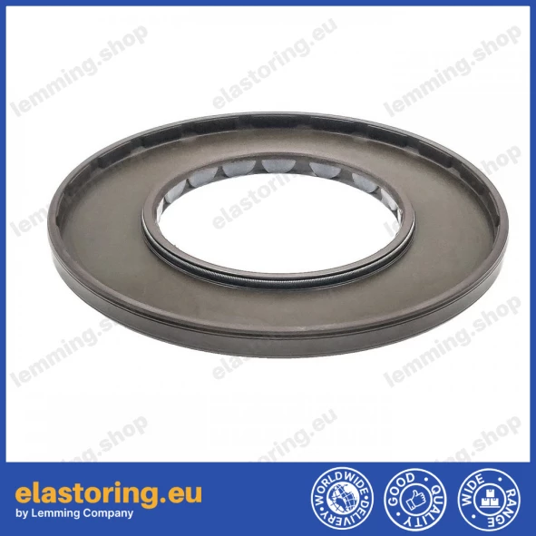 Pressure Oil Seal 60x110x7 PPS FPM