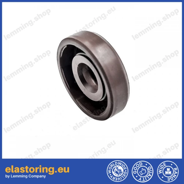 Pressure oil seal 8x22x6/6,5 BABSL FPM Pressure oil seal 8x22x6/6,5 BABSL FPM